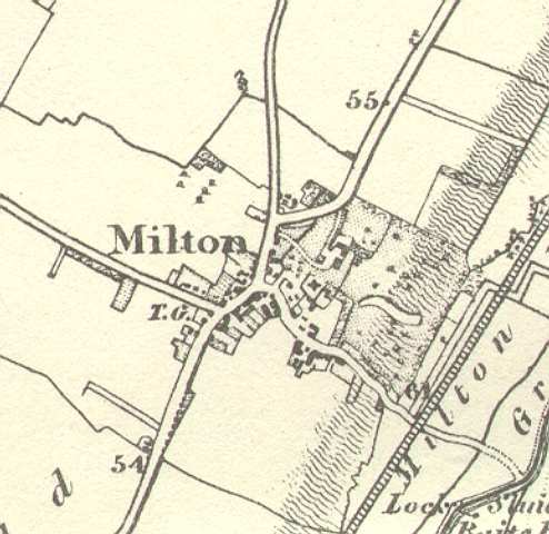 Miltonos1 